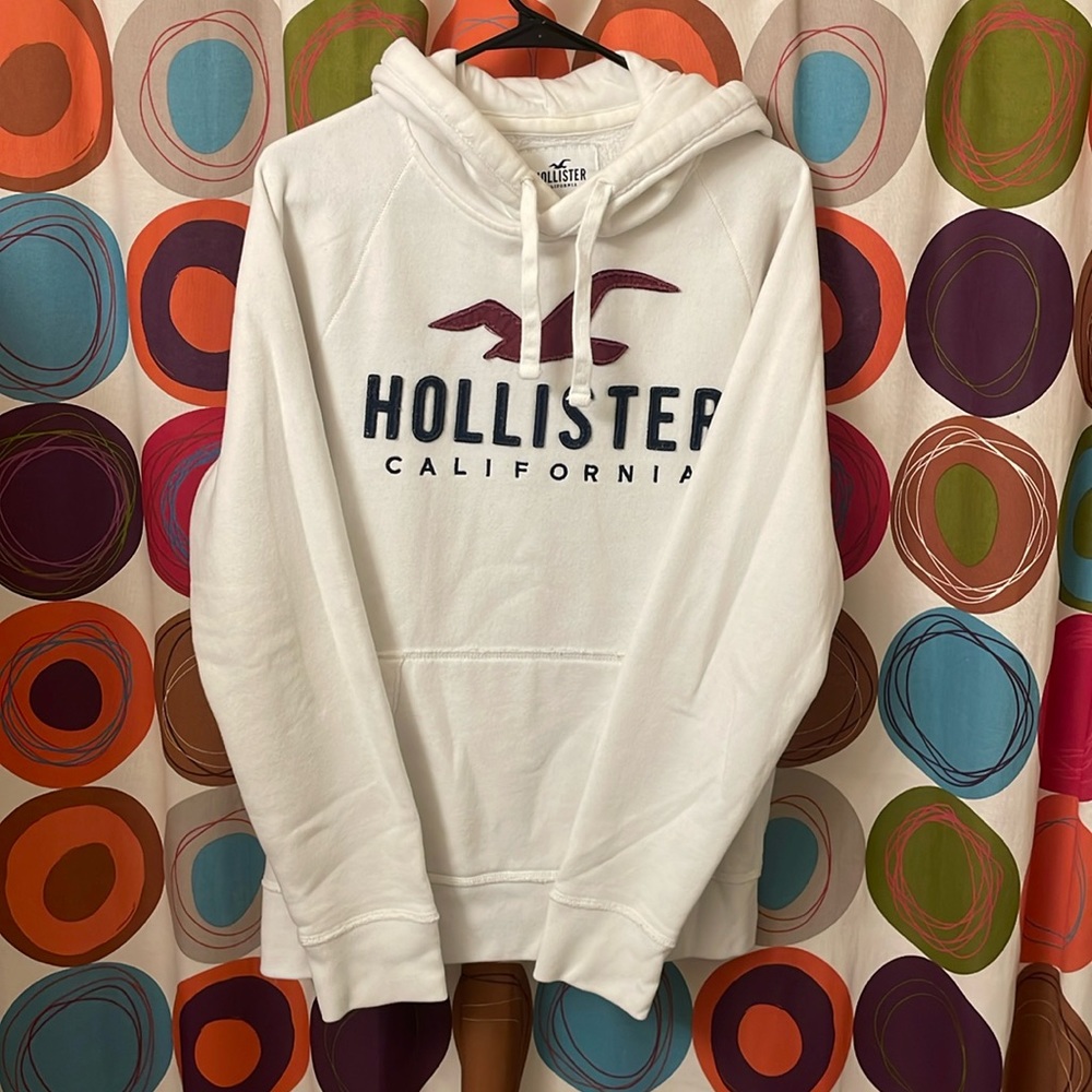 Hollister Mens Size M Hoodie